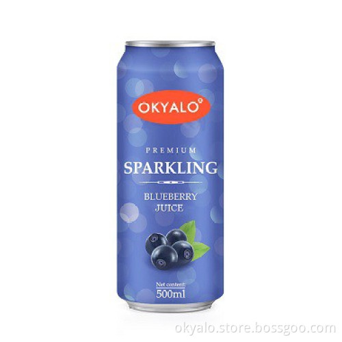 Okyalo Wholesale 500ML Best Blueberry Juice Drink